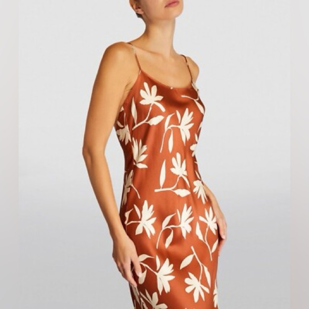 Anine Bing Chloe Silk Slip Dress Terracotta Floral Daisy Maxi Large - Picture 3 of 11